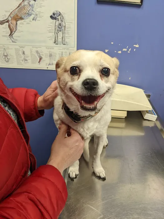 Countryside Veterinary Clinic: Olson Meredith DVM 4