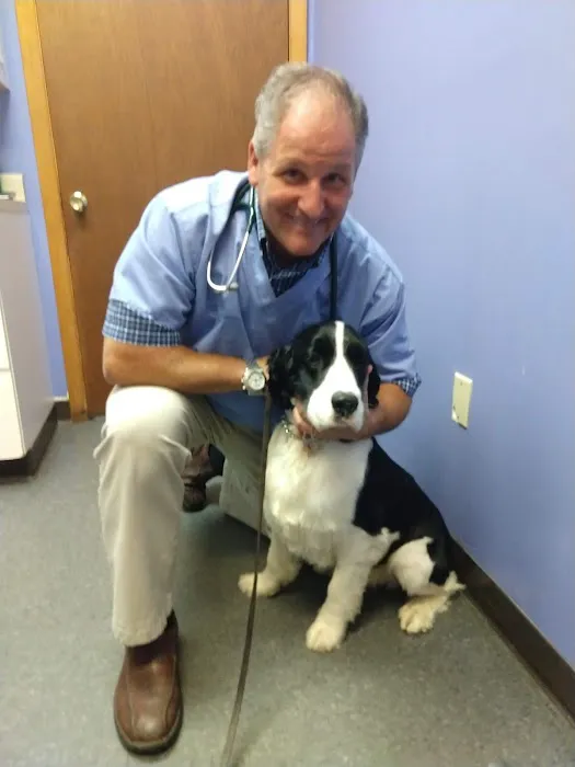 Countryside Veterinary Clinic: Olson Meredith DVM 3