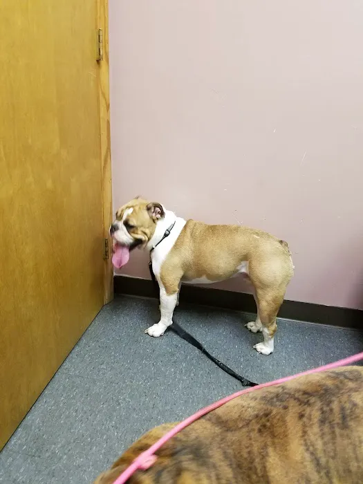Countryside Veterinary Clinic: Dr. R.L. Massucco, Jr. 10