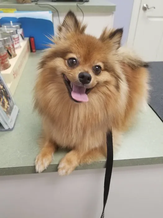 Healthy Paws Veterinary Center 5