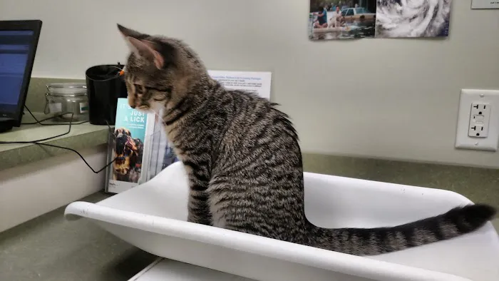 Healthy Paws Veterinary Center 6