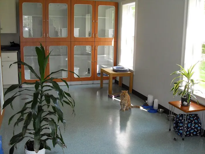Healthy Paws Veterinary Center 10