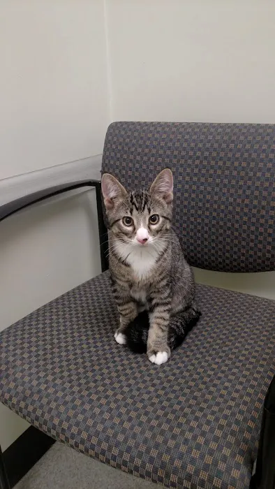 Healthy Paws Veterinary Center 8