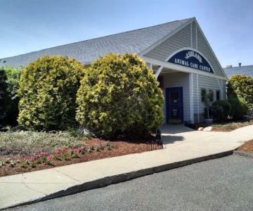 Ashland Animal Hospital
