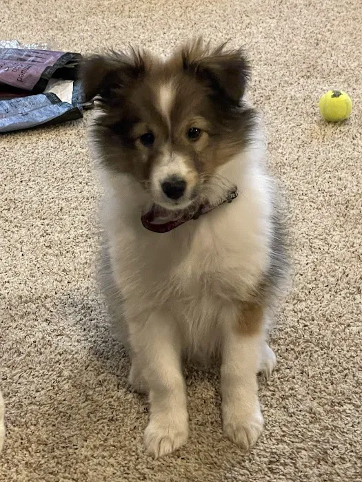Ashland Animal Hospital 9