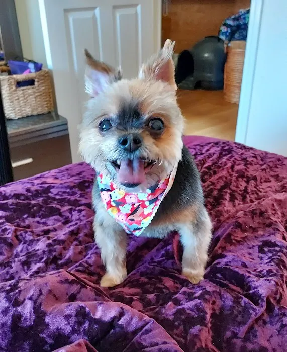 Ashland Animal Hospital 10