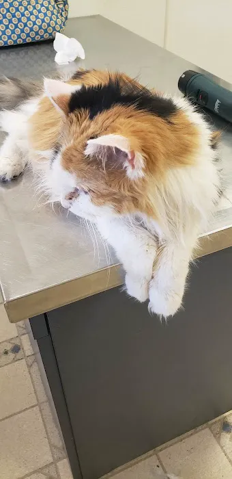 Mount Hope Animal Hospital 6