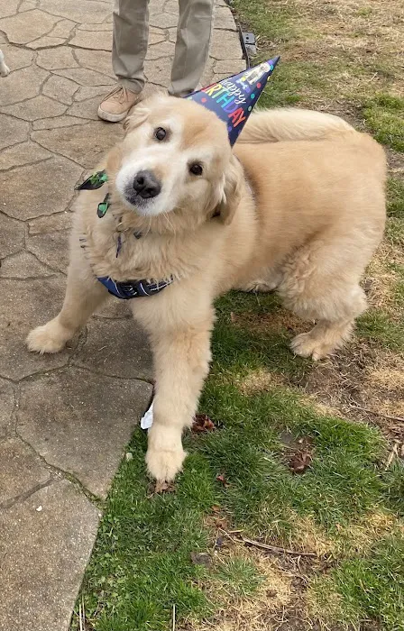 Mount Hope Animal Hospital 7