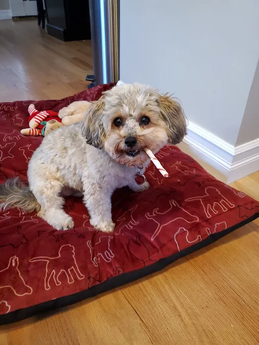 Sakonnet Veterinary Hospital 1