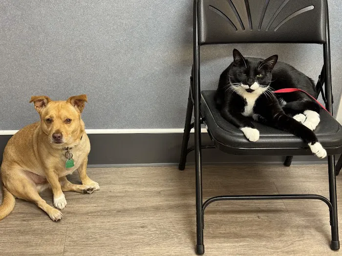 Acoaxet Veterinary Clinic 7