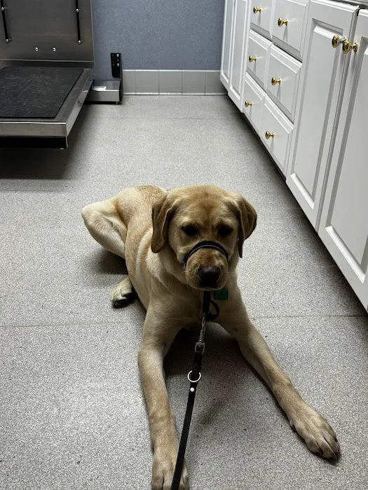 Acoaxet Veterinary Clinic 1