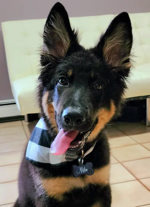 Bayside Veterinary Care 10