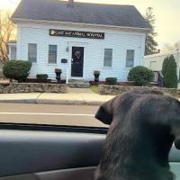 East Bay Animal Hospital ico