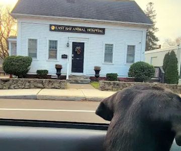 East Bay Animal Hospital