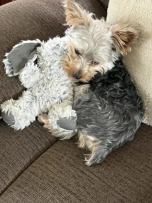 East Bay Animal Hospital 3