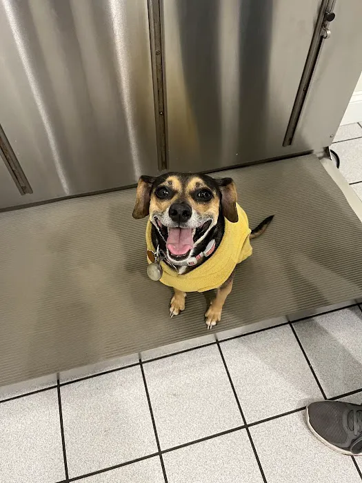 East Bay Animal Hospital 9
