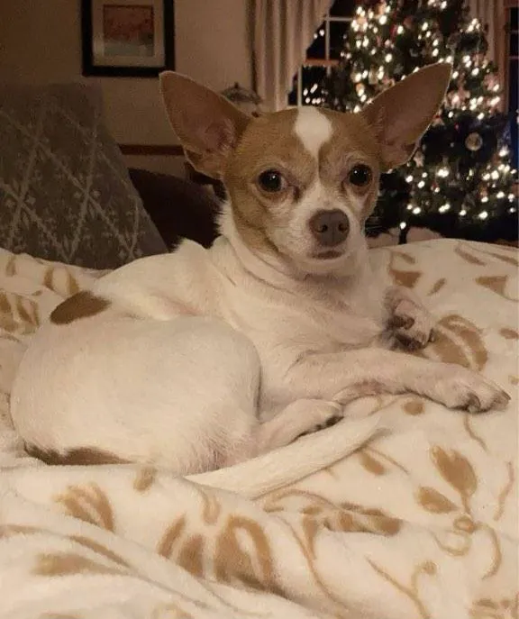 East Bay Animal Hospital 6