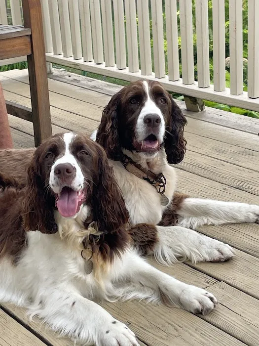 Abbott Animal Hospital 2