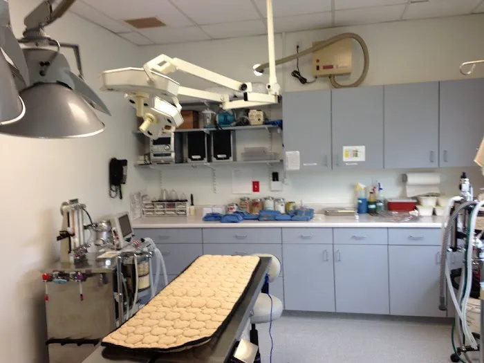 Bristol County Veterinary Hospital 7