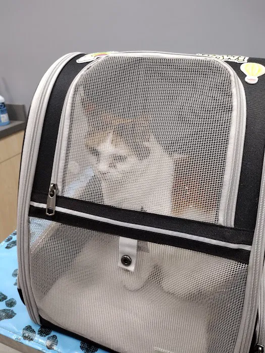 Vitality Veterinary of Swansea 6
