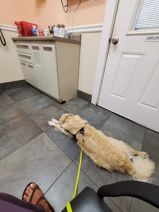 Ferguson Animal Hospital 1