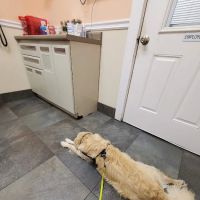 Ferguson Animal Hospital ico
