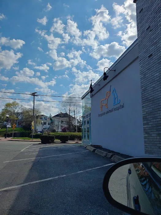 Ferguson Animal Hospital 4
