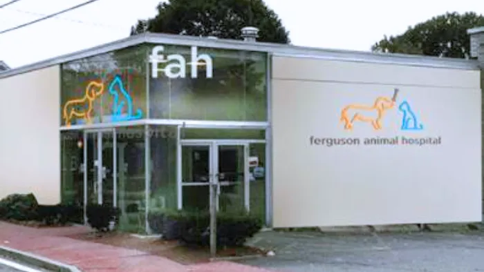Ferguson Animal Hospital 10