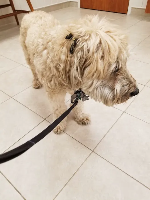 Scituate Animal Hospital 1