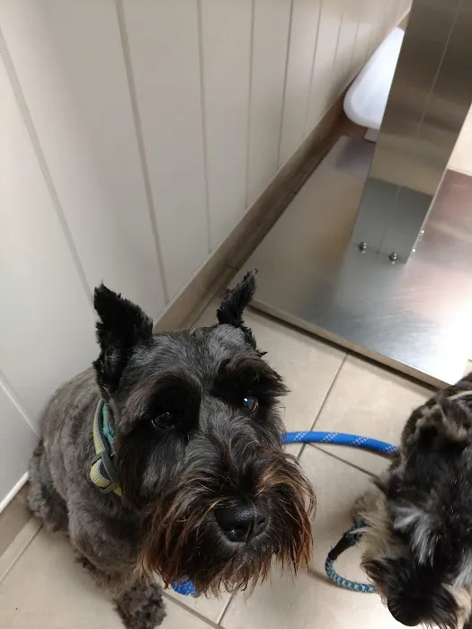 Scituate Animal Hospital 2