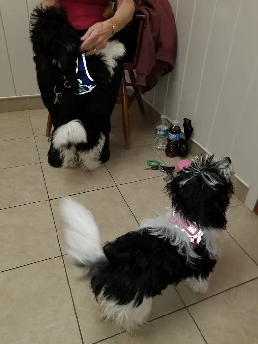 Scituate Animal Hospital 8