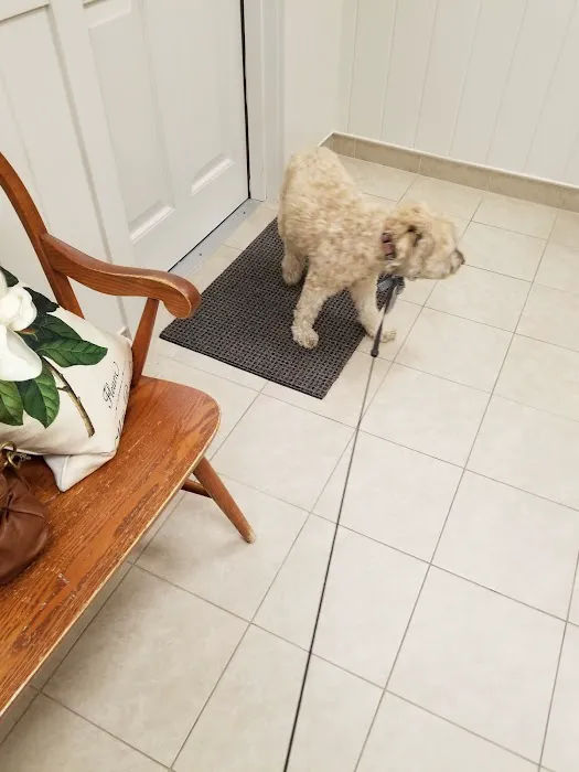 Scituate Animal Hospital 10