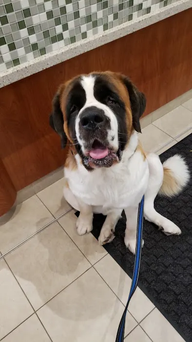 Scituate Animal Hospital 6