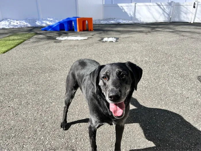 Harbor Animal Hospital 10