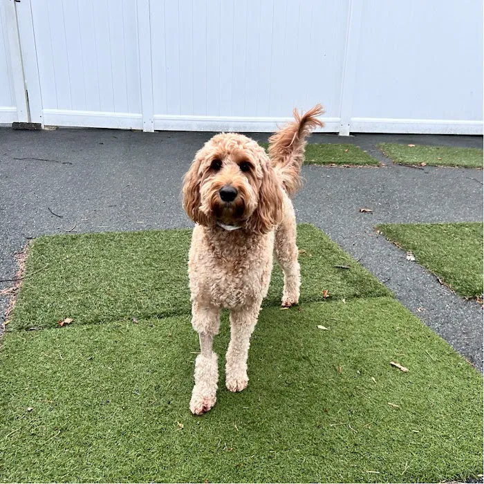 Harbor Animal Hospital 5