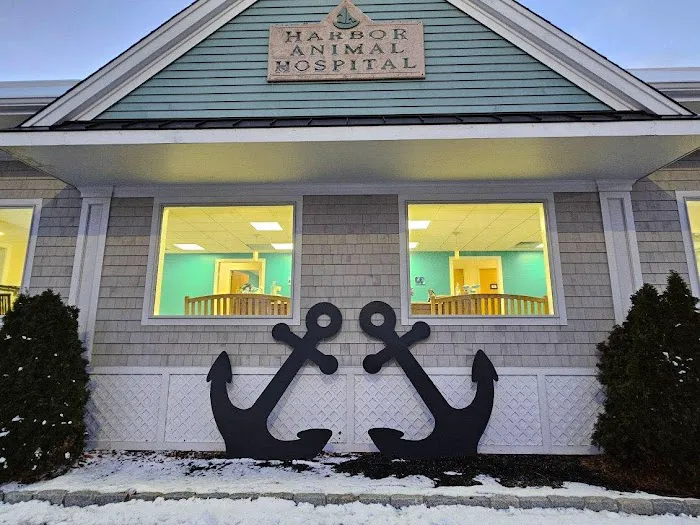 Harbor Animal Hospital 8