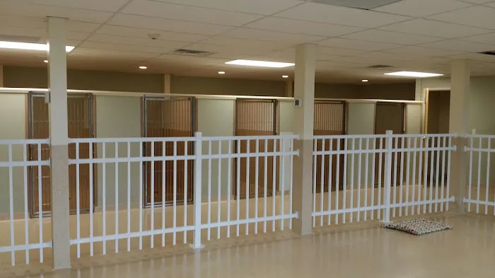 Harbor Animal Hospital 7
