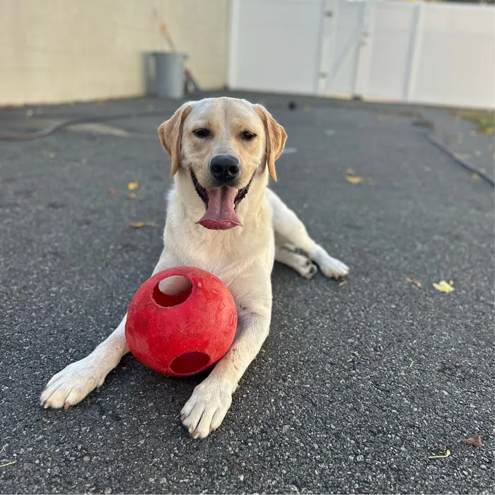 Harbor Animal Hospital 3
