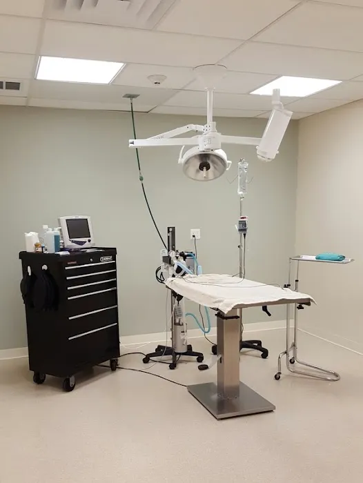 Harbor Animal Hospital 6