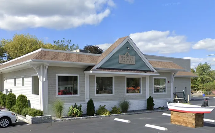 Harbor Animal Hospital 4