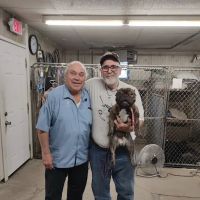 Warren Animal Hospital: Bickford Ilse DVM ico