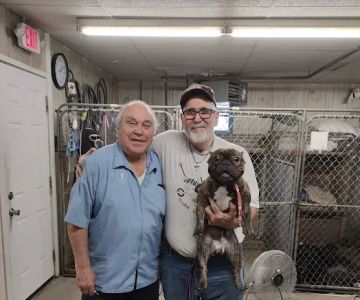 Warren Animal Hospital: Bickford Ilse DVM