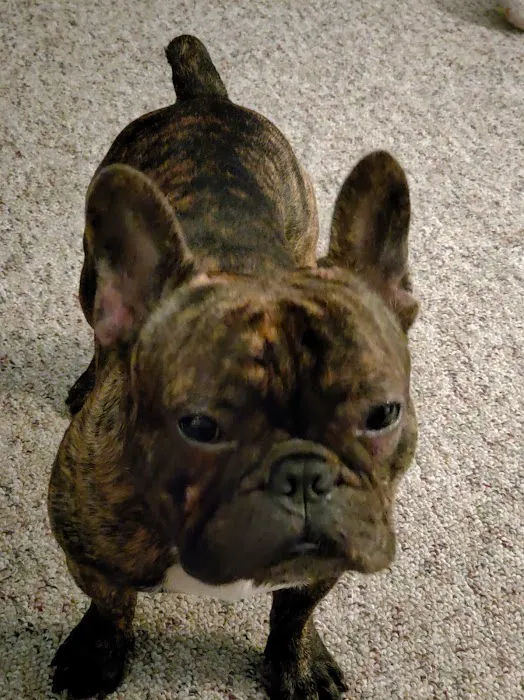 Warren Animal Hospital: Bickford Ilse DVM 2