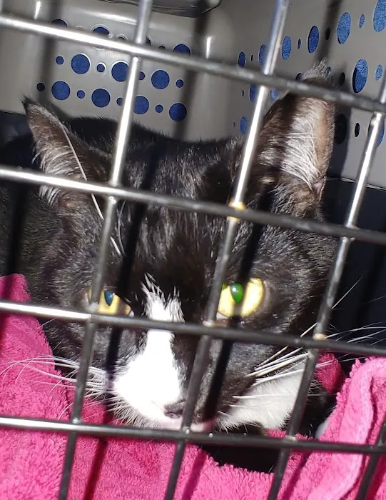 ShotVet @ Pet Foods Plus 1