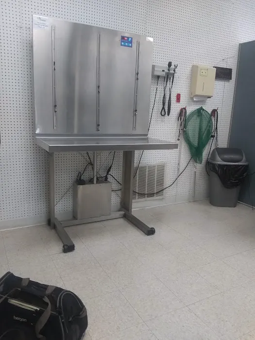 Veterinary Services of Pawtucket 1
