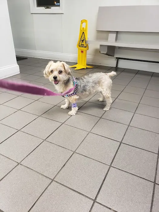 Gansett Animal Hospital 7