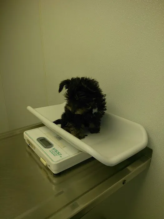 Gansett Animal Hospital 6