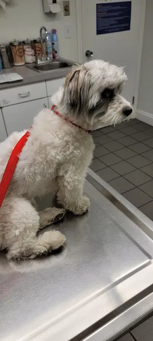 Gansett Animal Hospital 5