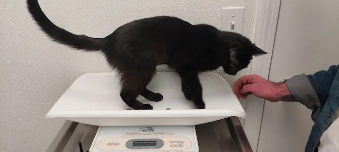 Gansett Animal Hospital 2