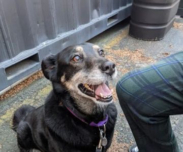 Gansett Animal Hospital